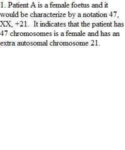 Assignment 3 Karyotype